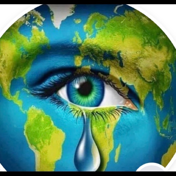 Meet your Posher, Sharon - Picture 1 of 1